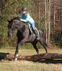 Alyssa tested Charlie on cross country fences to see if he would be able to fox hunt. November 19, 2005