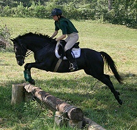 Charlie's first time ever cross country schooling with Marie van Roekel. August 2005