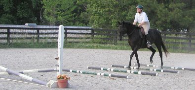 Bits & Bytes Farm Thoroughbred horse for sale - Charlie and Elizabeth - May 2005