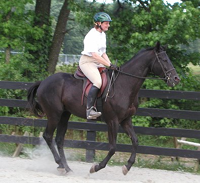 Bits & Bytes Farm Thoroughbred horse for sale - Charlie and Elizabeth - May 2005