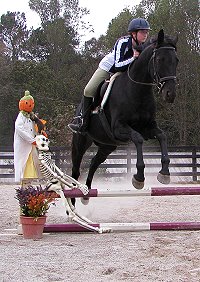 Training oof-the-track Thoroughbreds the fun way!