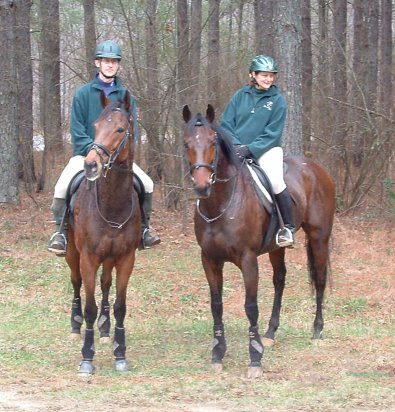 Knight Villain and Chouette Player are two bay Thoroughbred horses for sale at Bits & Bytes Farm