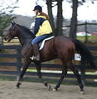 Meghan and Chouette Player