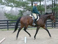 Thoroughbred horses for sale at Bits & Bytes Farm.