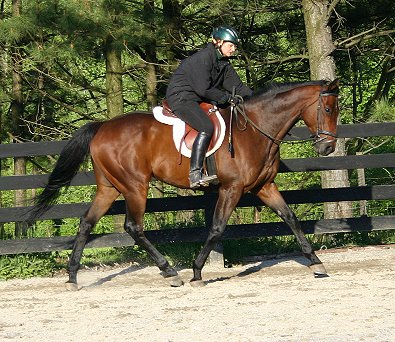 Elizabeth's last ride on Chouette Player