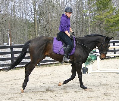 Sally Thomas and Cloned Colony