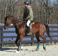 Bits & Bytes Farm's Corporate Action