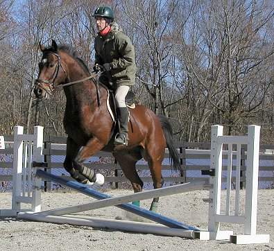 Bits & Bytes Farm's Corporate Action