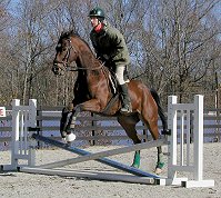 Bits & Bytes Farm's Corporate Action