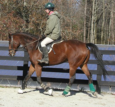 Bits & Bytes Farm's Corporate Action