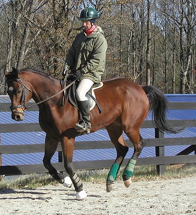 Bits & Bytes Farm's Corporate Action