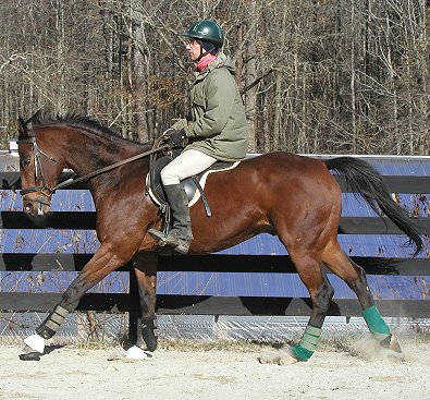 Bits & Bytes Farm's Corporate Action