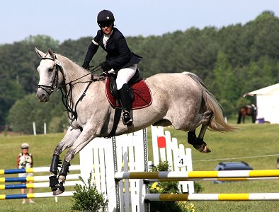 See photos of Alaskan Crown! She is a grey mare for sale. 