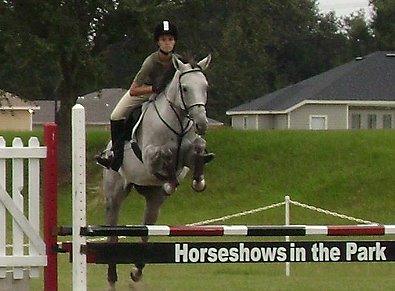 OTTB Alaskan Crown competes in jumpers at the  Canterbury Horse Show.