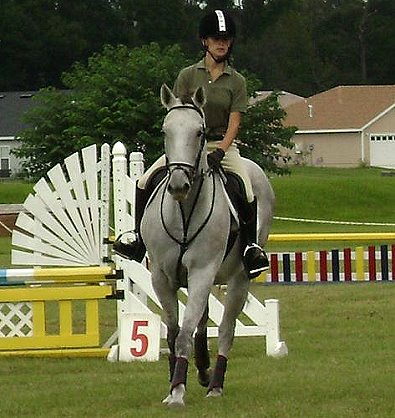 Alaskan Crown competes in jumpers at the Canterbury Horse Show. October 21, 2007 
