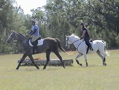 Alaskan Crown (on left) at the Misty Morning Hounds hunter pace. April 2005
