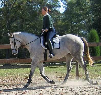 Alaskan Crown is for sale.