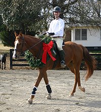 Our Boy Darcy and Barry