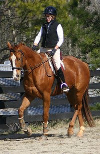 Our Boy Darcy and Betty