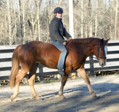 December 4, 2004 - Firefly is ridden bareback.