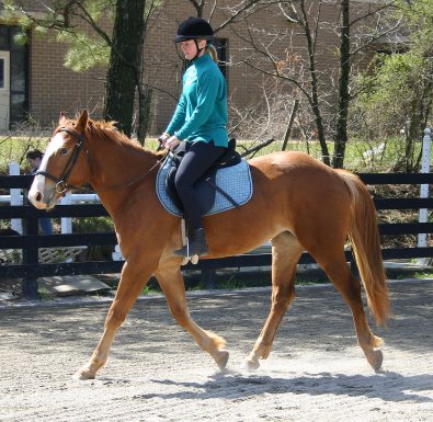 Firefly - March 20, 2005