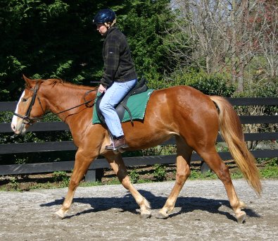 Firefly - April 3, 2005