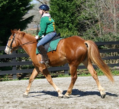 Firefly - April 3, 2005