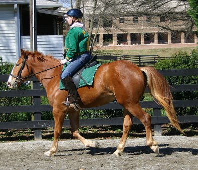 Firefly - April 3, 2005