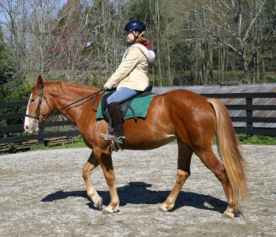 Firefly - April 3, 2005