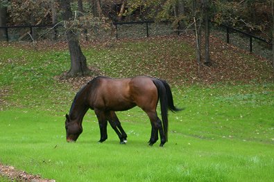 Fort Mason and Knight Villain.