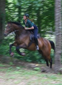 Fort Mason - Schooling cross country. - May 2005