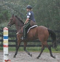 French  Made and Stephanie