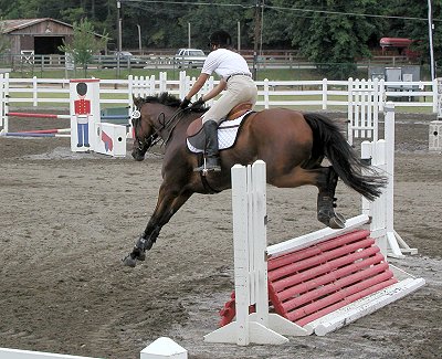 French Made at Wills Park