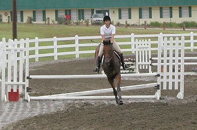 French Made at Wills Park