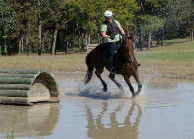 French Made aka Fred E. and mom schooling cross-country fences. - October 2005