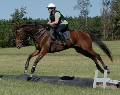 French Made aka Fred E. and mom schooling cross-country fences. - October 2005