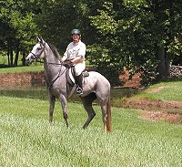 Grayboo and Elizabeth enjoyed the day.