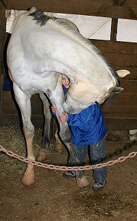 While Samantha was loving on Lucky, Christian won the heart of Grayboo.