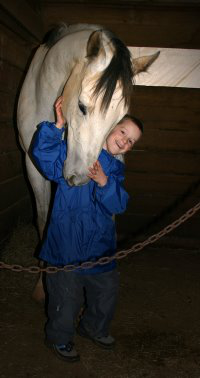 Grayboo has a young suitor.