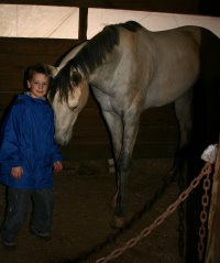 Grayboo followed Christian around his stall.
