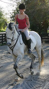 Grayboo  - Gray Thoroughbred for sale. April 4, 2005