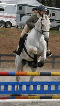 Grayboo with Megan Brown finished first at the Oxer Farm combined test. Novmeber 20, 2005