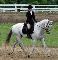 Grayboo is competeting in eventing competitions with his young owner Amanda Cunefare.