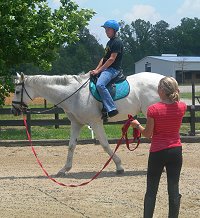 Off-track-Thoroughbred giving lesson to a new rider. 