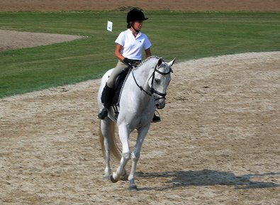 OTTB - Grayboo and Amanda enjoy competing in combined training events.