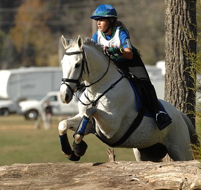 Grayboo moved up to training level eventing at the River Glen Horse Trials. November 2007