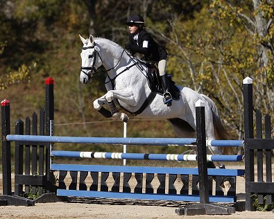 OTTB Grayboo finished double clear in stadium which moved them up to a 3 way tie for 1st place. November 18, 2007