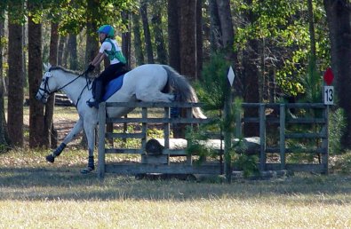 Grayboo and Amanda competed at the Novice level at Pine Top combine training event.