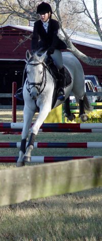 Grayboo and Amanda in the show jumping phase doing the Novice level at Pine Top.