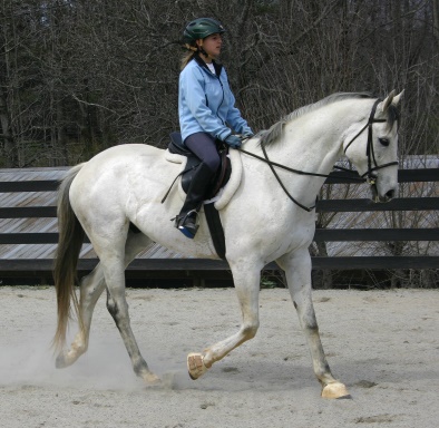 Congratulations to Amanda Cunefare of Alabama on the purchase of Grayboo! March 21, 2006 